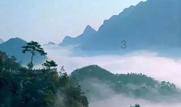 海绵宝宝寻珍宝